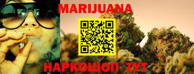 крисы Магадан