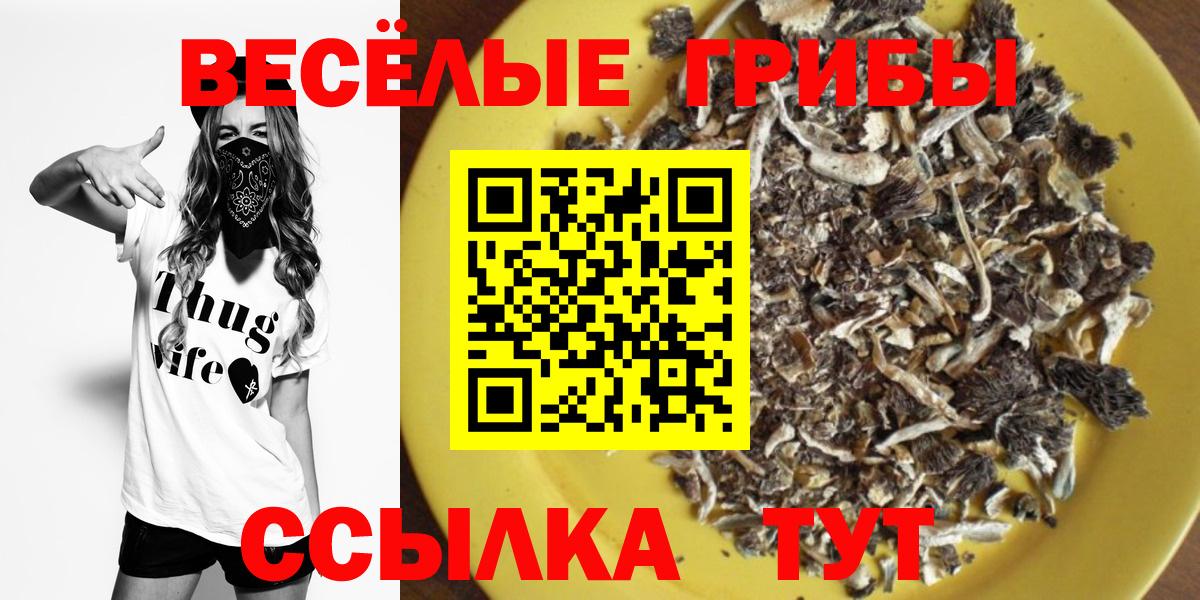 Галлюциногенные грибы MAGIC MUSHROOMS Мытищи