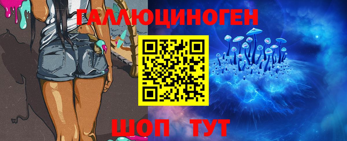 Галлюциногенные грибы MAGIC MUSHROOMS  Вход с VPN  Мытищи 